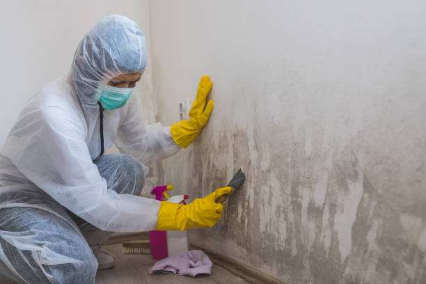 Best Forensic Mold Investigation  in Cuthbert, GA