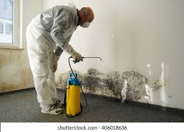 Best Water Damage & Mold Remediation  in Cuthbert, GA